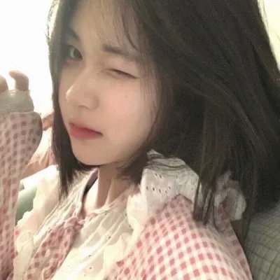 完美伴侣